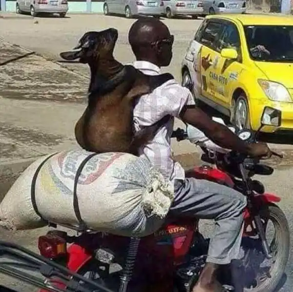 ??? Hilarious photo I Must Take You To Village For Christmas (See Photo)